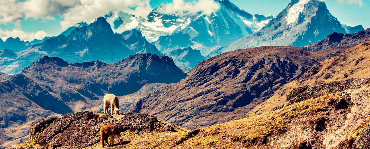 Alternative treks to Machu Picchu 2024 - 69explorer