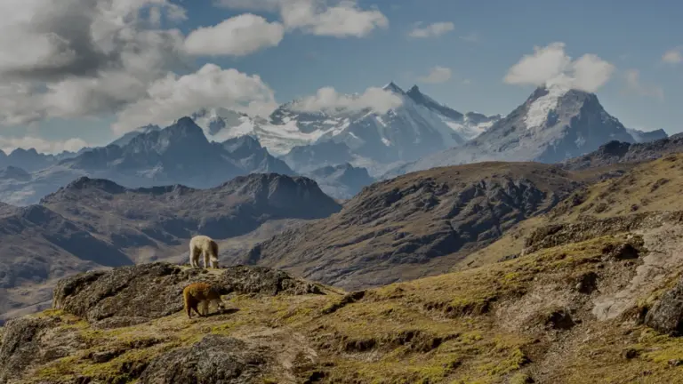 inca trail