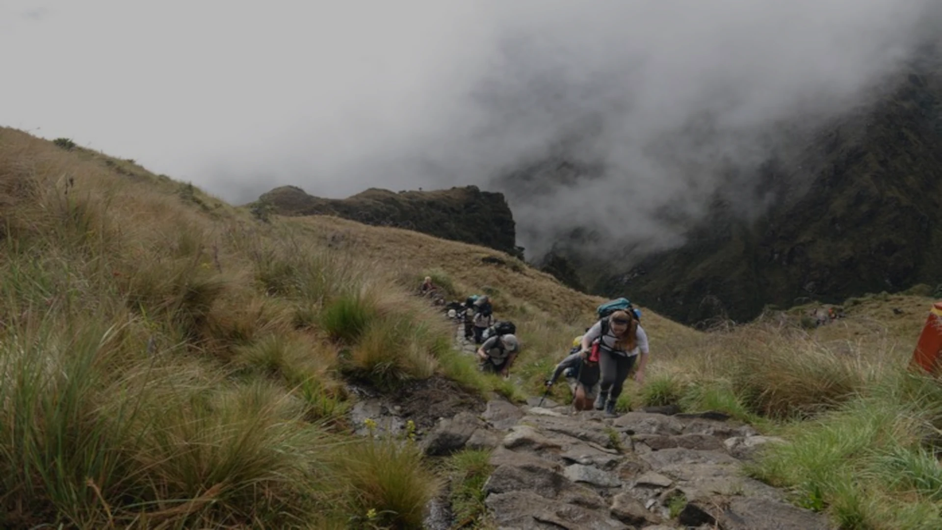 How to Check Inca Trail Availability: A Step-by-Step Guide * 69explorer